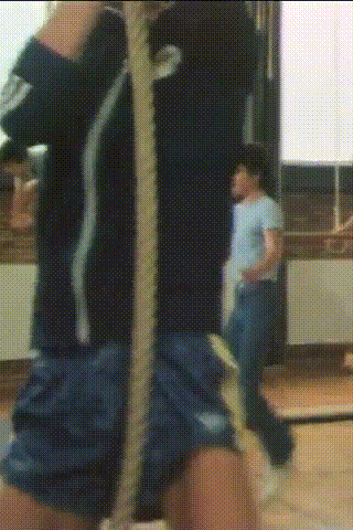 photos/0100bbd6-b72b-4f40-bc9f-93a4be2021e7.gif